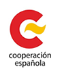 Consejo de Cooperación al Desarrollo